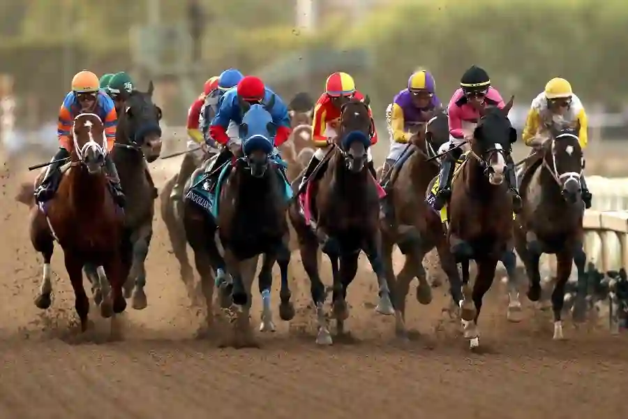 Master Horse Racing and Betting on Zaazaturf in 2024 Tips, Tricks and More