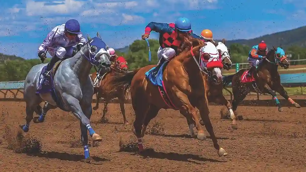 Fideleturf: How to Build Trust in Your Horse Betting Strategy