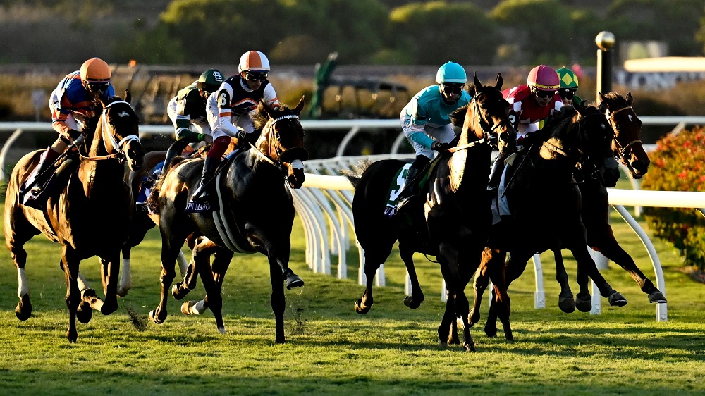 PMU Résultat Predictions: Top Picks for Online Horse Betting Today